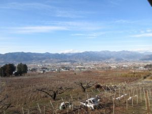 笛吹市一宮町千米寺