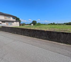 南アルプス市有野